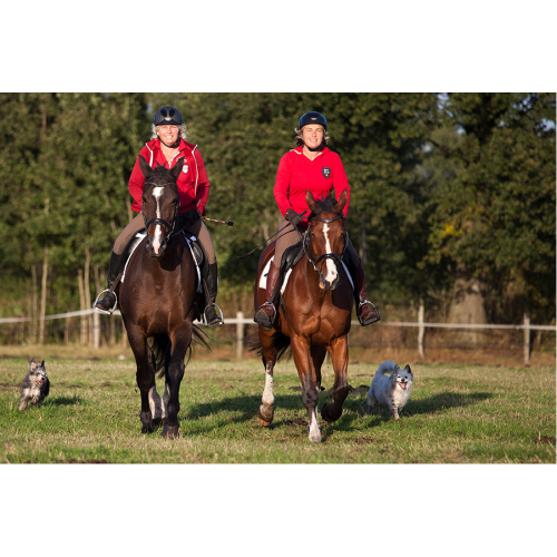 Home Reiterladen Online Home Reiterladen Online